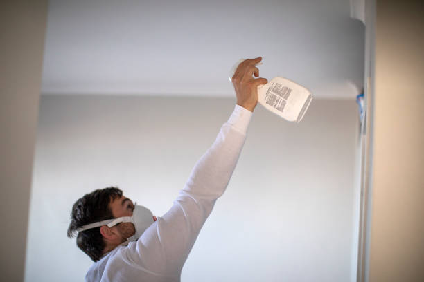 Best Industrial Mold Remediation in Upper Brookville, NY